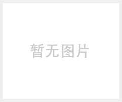 潜水矿浆泵 耐磨矿砂泵 高效尾矿泵